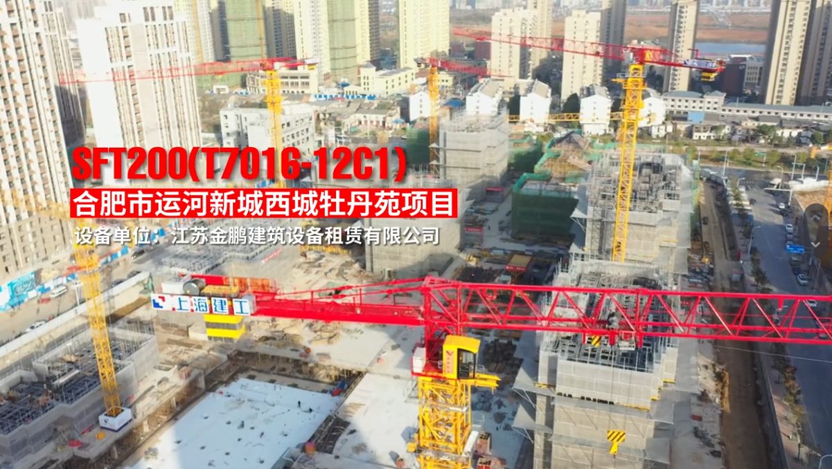 江苏金鹏塔式起重机作业现场